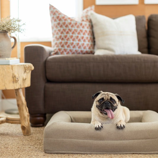 Small REM Dog Bed